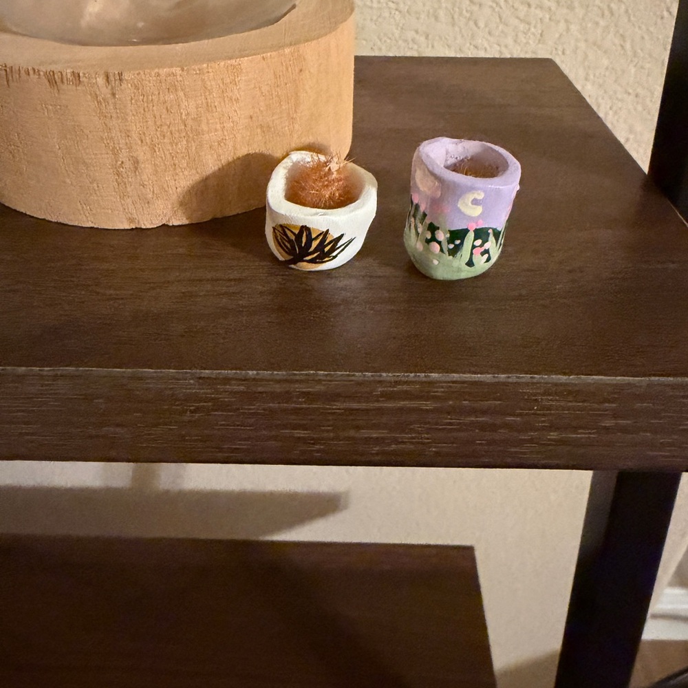 Very tiny / super mini planters.